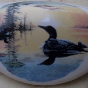 May include: A white ceramic drawer pull with a colorful image of a loon swimming in a lake with trees and a sunset in the background.