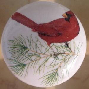 May include: A red cardinal perched on a green pine branch. The bird is facing right and has a black eye and beak. The background is white.