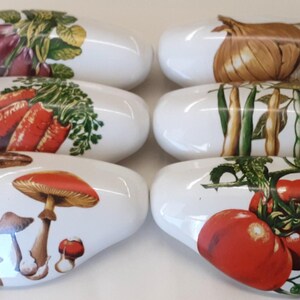 Vegetable #3 Ceramic Cabinet Kitchen Drawer pulls set of six Hardware