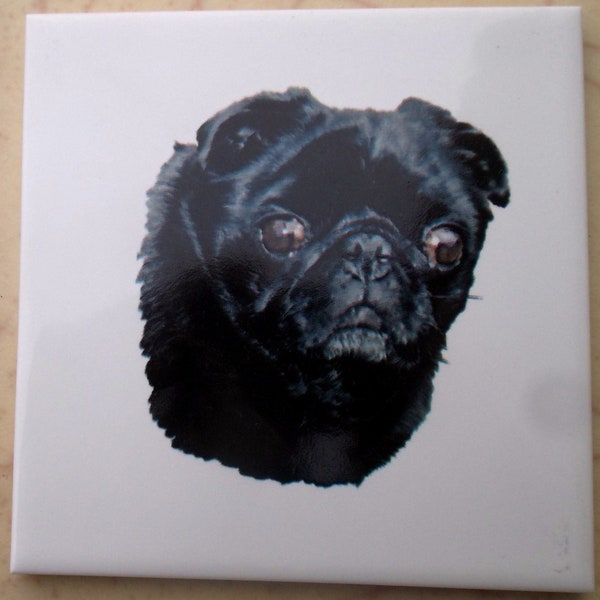 Black Pug Dog Ceramic Tile animal accent backsplash serving tray