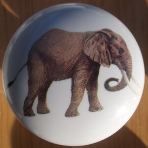 May include: A white ceramic cabinet knob featuring a detailed illustration of a brown elephant with ivory tusks. The elephant is centered on the knob, which has a glossy finish. This decorative knob is suitable for furniture and adds a touch of wildlife to any room.