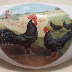 May include: White ceramic cabinet pull with a colorful illustration of a rooster and hens in a rural setting. The rooster is black with a red comb, and the hens are also black. A windmill is in the background.