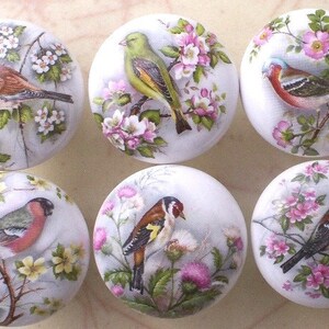 May include: Six white ceramic knobs with floral and bird designs. Each knob features a different bird species, including a green finch, a red robin, a goldfinch, and a brown sparrow, all perched on branches with pink and white flowers.