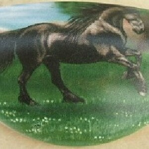 May include: A black horse with a long mane and tail runs through a field of green grass. The horse is in mid-stride, with its legs extended. The background is a blur of green and blue.