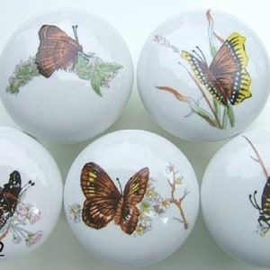 May include: Five white ceramic knobs with butterfly designs. Each knob features a different butterfly species with varying colors and patterns, including brown, black, yellow, and white.