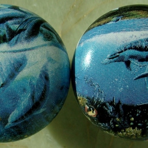 May include: Two round blue and white ceramic ornaments with a dolphin design. One ornament features a group of dolphins swimming in a blue ocean, while the other ornament features a single dolphin swimming in a blue ocean with coral reefs in the background.