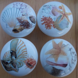 May include: Four white ceramic cabinet knobs with sea-themed designs. Each knob features a different arrangement of seashells, starfish, and coral in shades of tan, orange, and blue. The knobs are round and appear to be new.
