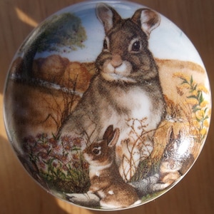 May include: A round ceramic cabinet knob featuring a detailed illustration of two rabbits in a field. The knob has a glossy finish and a pastoral scene with a blue sky, brown and yellow grass, and colorful flowers.
