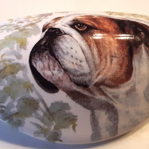 May include: A white ceramic cabinet knob featuring a detailed portrait of a bulldog. The bulldog has brown and white fur, with a focused expression. Green and yellow foliage accents the background.