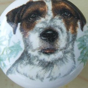 May include: A round white ceramic cabinet knob featuring a detailed illustration of a Jack Russell Terrier dog face with brown and white fur, a black nose, and soft green foliage accents painted on the sides of the circular surface.