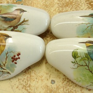 May include: Four ceramic drawer pulls with a white background and a bird design. Each pull features a different bird species, including a blue jay, a kingfisher, a bee-eater, and a waxwing.