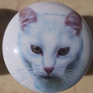 May include: A white ceramic knob with a close-up image of a white cat with pink nose and brown ears. The cat's eyes are open and looking directly at the viewer.