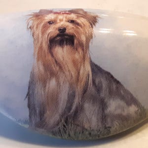 May include: A white, oval-shaped decorative stone featuring a painted Yorkshire Terrier. The dog has long, flowing brown and gray fur, with a red bow. The background is a soft, light blue.
