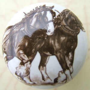 May include: A ceramic knob with a brown and white image of two horses pulling a cart. The horses are in a harness and the cart is not visible. The knob is round and has a white background.