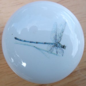 May include: A white ceramic knob with a blue dragonfly design. The dragonfly is in flight with its wings spread out.