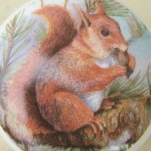 May include: A round, white decorative item featuring a detailed illustration of a red squirrel holding a nut. The squirrel is perched on a branch with green pine needles, set against a light blue background. The artwork has a vintage, hand-painted style.
