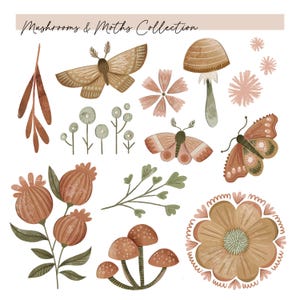 以下が含まれることがあります： 「Mushrooms & Moths Collection」と題されたデジタルイラストセット。茶色の蛾、蝶、キノコ、種鞘、花などの植物や昆虫の要素が、茶色、緑、ピンクの落ち着いたアースカラーで描かれています。