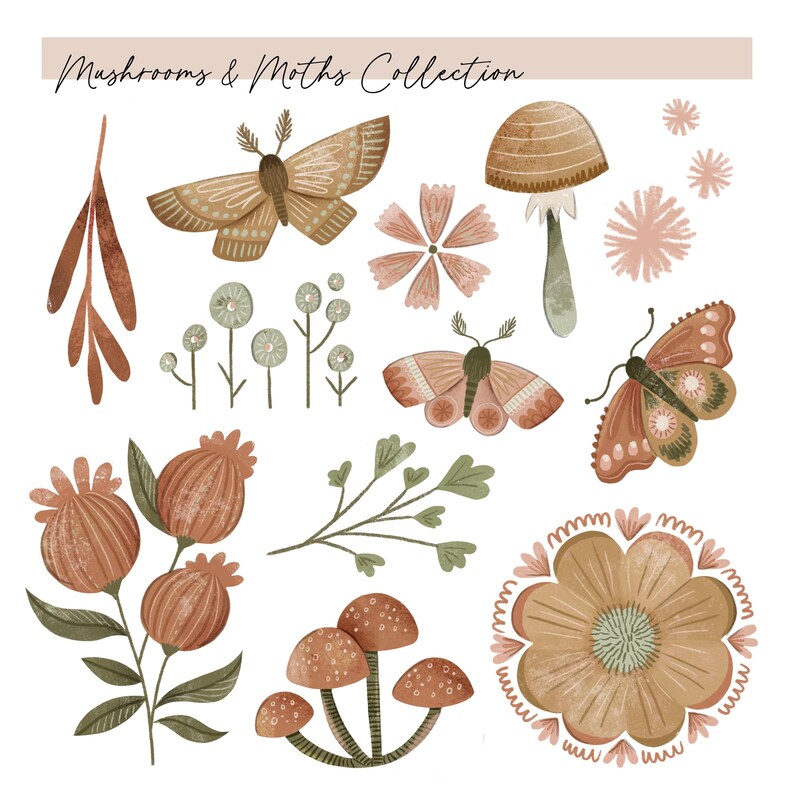 以下が含まれることがあります： 「Mushrooms & Moths Collection」と題されたデジタルイラストセット。茶色の蛾、蝶、キノコ、種鞘、花などの植物や昆虫の要素が、茶色、緑、ピンクの落ち着いたアースカラーで描かれています。