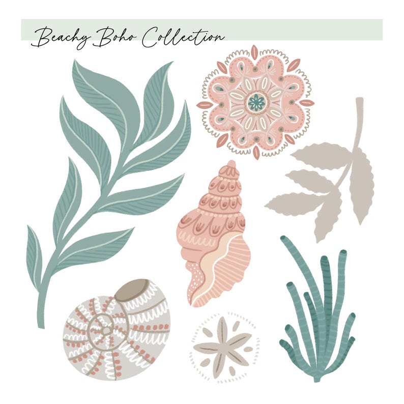 May include: A collection of hand-drawn illustrations featuring a seashell, a starfish, and various botanical elements in muted tones of pink, green, and beige. The text "Beachy Boho Collection" is at the top.