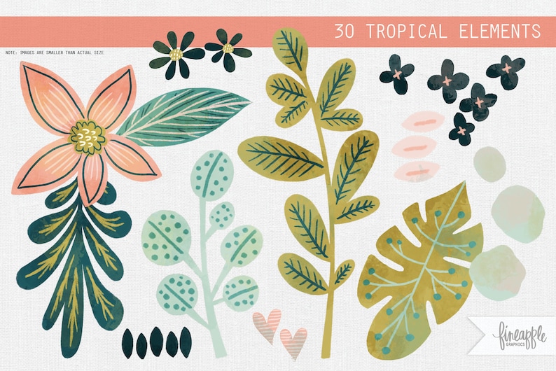 May include: 30 tropical elements clipart set featuring green, blue, and gold leaves, pink flowers, and black and white flowers.  The text "30 Tropical Elements" is at the top of the image.