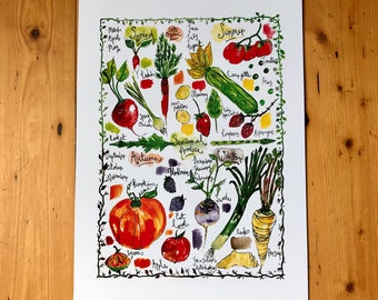 May include: A colourful illustration of seasonal produce, organised by month. The illustration features fruits and vegetables such as tomatoes, strawberries, pumpkins, and leeks. The text "Seasonal Produce" is written in the centre of the illustration.