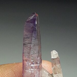 May include: A cluster of amethyst crystals with a purple hue and clear quartz crystals. The amethyst crystal is tall and slender, while the quartz crystals are shorter and more rounded.