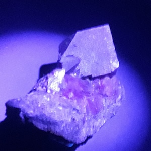 126gr. Gemmy Fluorescent Fluorite Crystals. La Ojuela Mexico.