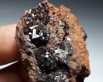 36gr. Gemmy Adamite Crystals.  La Ojuela Mine,  Mexico