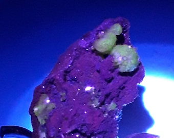 25gr. Gemmy Fluorescent Cupro-Adamite  Crystals.  La Ojuela Mine,  Mexico