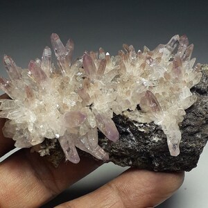 45gr. Gemmy  Amethyst Crystals Cluster.  Piedra Parada, Veracruz, Mexico.