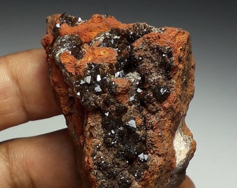 84gr. Gemmy Smokey Cupro-Adamite  Crystals.  La Ojuela Mine,  Mexico