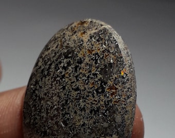 4gr. Black Leopard Opal- Cabochon Polished. Mexico