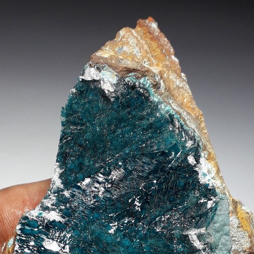 90gr. Gemmy Aurichalcite & Calcite Crystals. La shops Ojuela Mine, Mexico