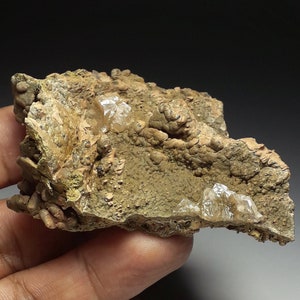 May include: A rough, brown and green rock with clear, glassy crystals embedded in it. The rock has a textured surface and appears to be a natural specimen.