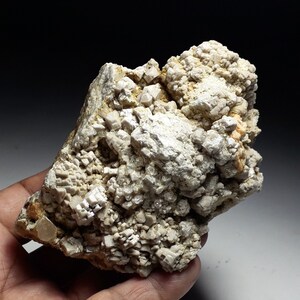 May include: A cluster of white and gray crystals embedded in a rough, brown rock. The crystals are small and have a sharp, angular shape.