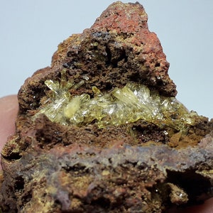 May include: A small rock with a cluster of bright yellow crystals embedded in it. The rock is a reddish-brown colour and has a rough texture.