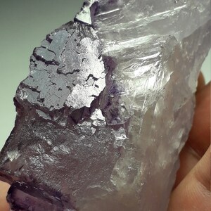 Gemmy FLUORITE crystal, Muzquiz, Mexico.
