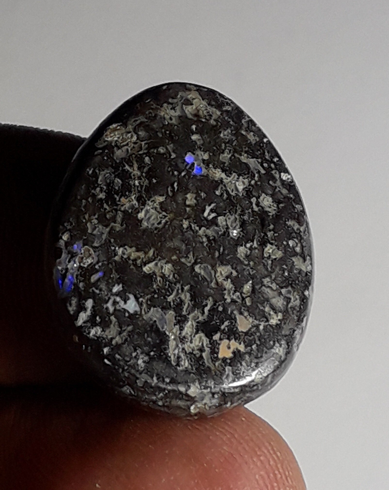 3gr.  Gemmy Black Leopard Opal  Mexico.