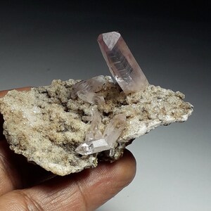 May include: A cluster of pink quartz crystals on a matrix of gray rock. The crystals are translucent and have a slight pink hue. The matrix is rough and textured.