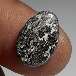 May include: A dark gray oval-shaped stone with white flecks and a rough texture.
