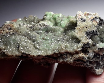 Gemmy Cupro-adamite Crystals.  La Ojuela Mine,  Mexico