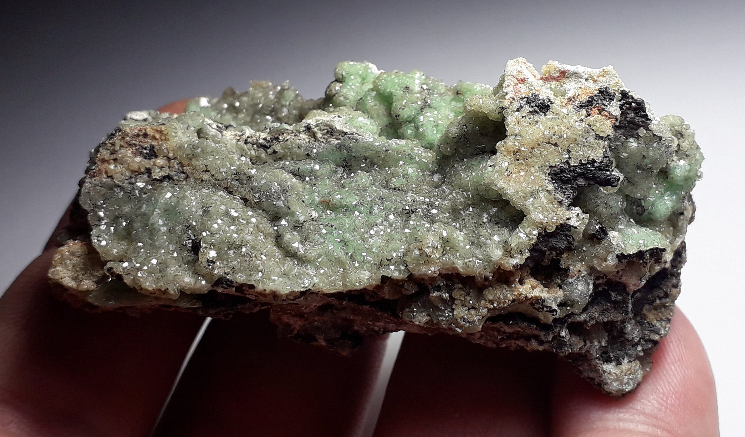 宝石質のキュプロアダマイト結晶。メキシコ、ラ・オフエラ鉱山 - Etsy 日本