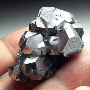 Gemmy GALENA and ARSENOPYRITE crystals, La Ojuela. Mexico
