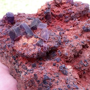 Gemmy FLUORITE crystals. La Ojuela Mine, Mexico.