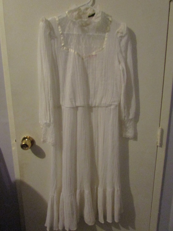 Vintage Edwardian, Victorian Style Tea Dress “Mina