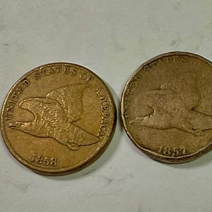 Könnte beinhalten: Zwei antike Flying Eagle Cents. Die Münzen sind bronzefarben und zeigen ein fliegendes Adler-Design. Eine Münze ist von 1858 datiert, die andere von 1857. Die Worte "UNITED STATES OF AMERICA" sind auf einer Münze zu sehen.