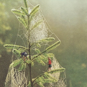 The Web// Handmade Collage// 8X10
