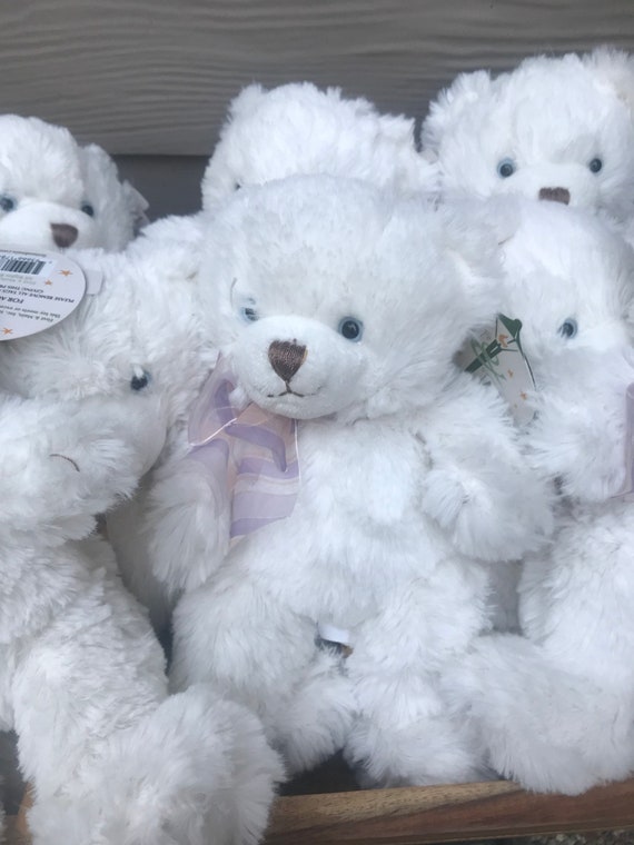 first and main teddy bear