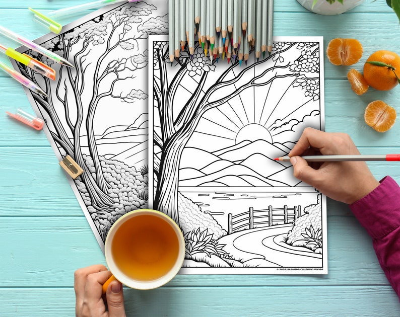 50 Landscape Coloring Adult Pages Printable Book PDF - Etsy