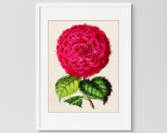 Botanical Painting Printable Wall Art | Home Decor Large Wall Art | Red Camellia Floral Wall Art | Office, Living Room, or Bedroom Decor